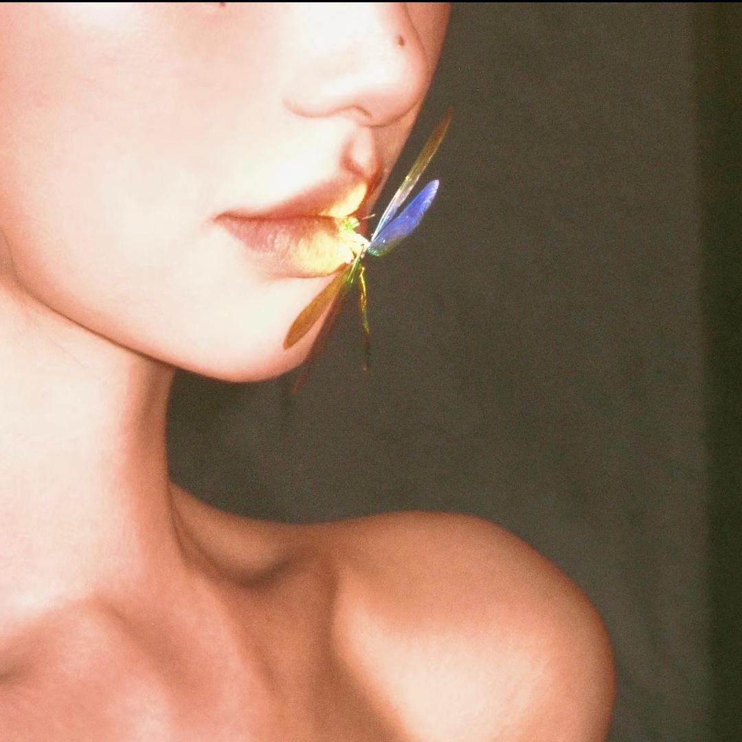 🦋莫奈花园