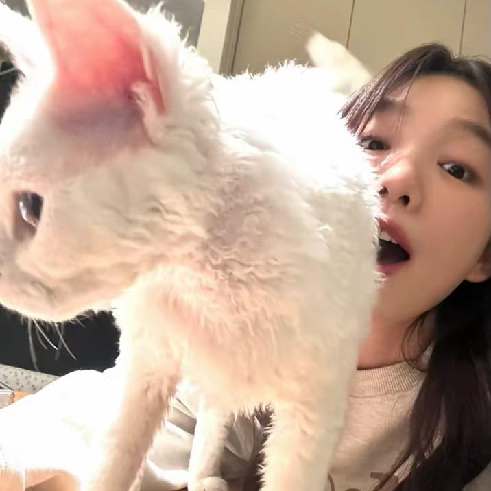 鱼酱ᶻ