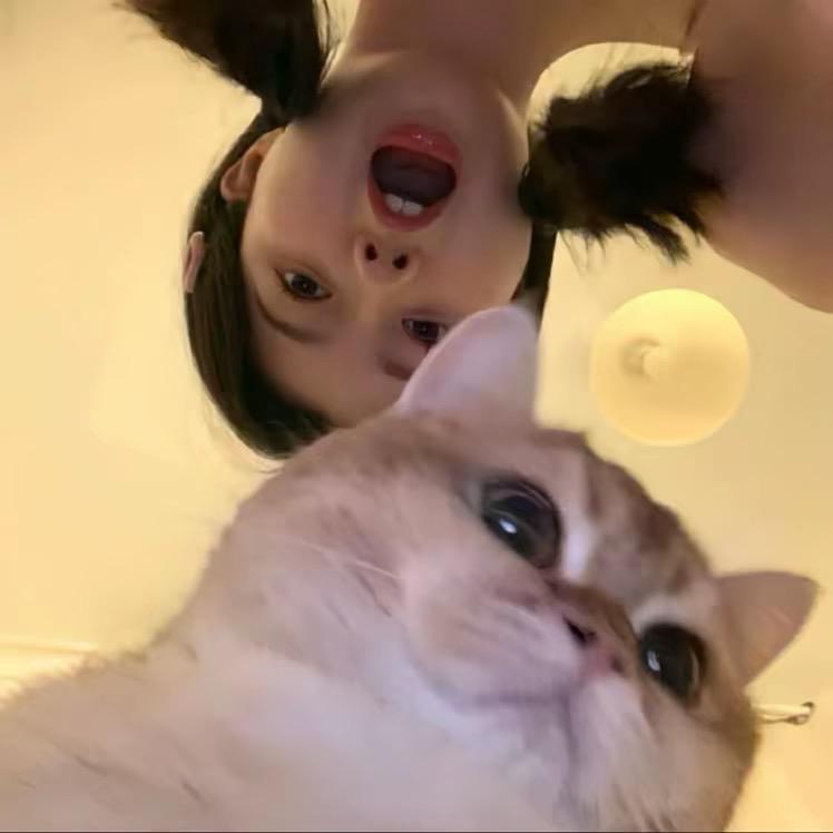 你瞅啥，瞅你咋滴