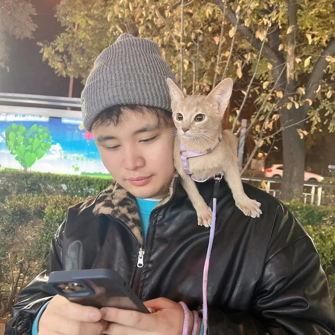 淇淇宝