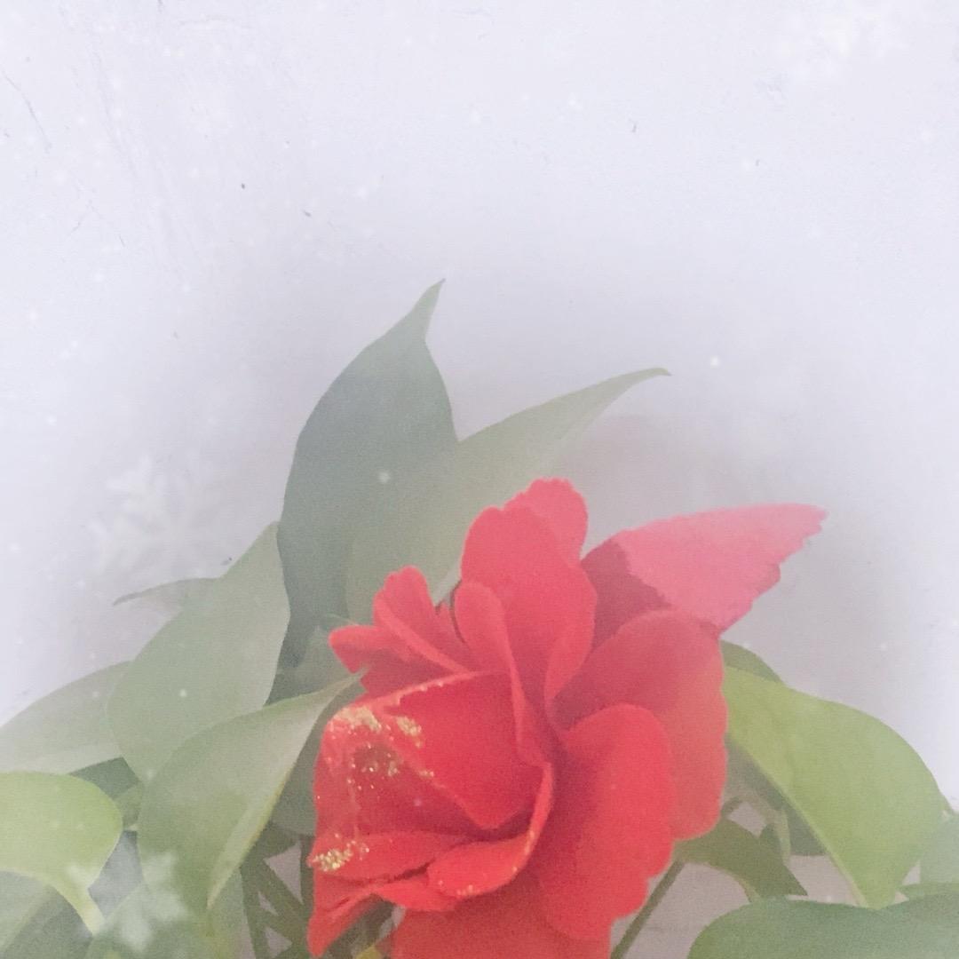 丰丰爱