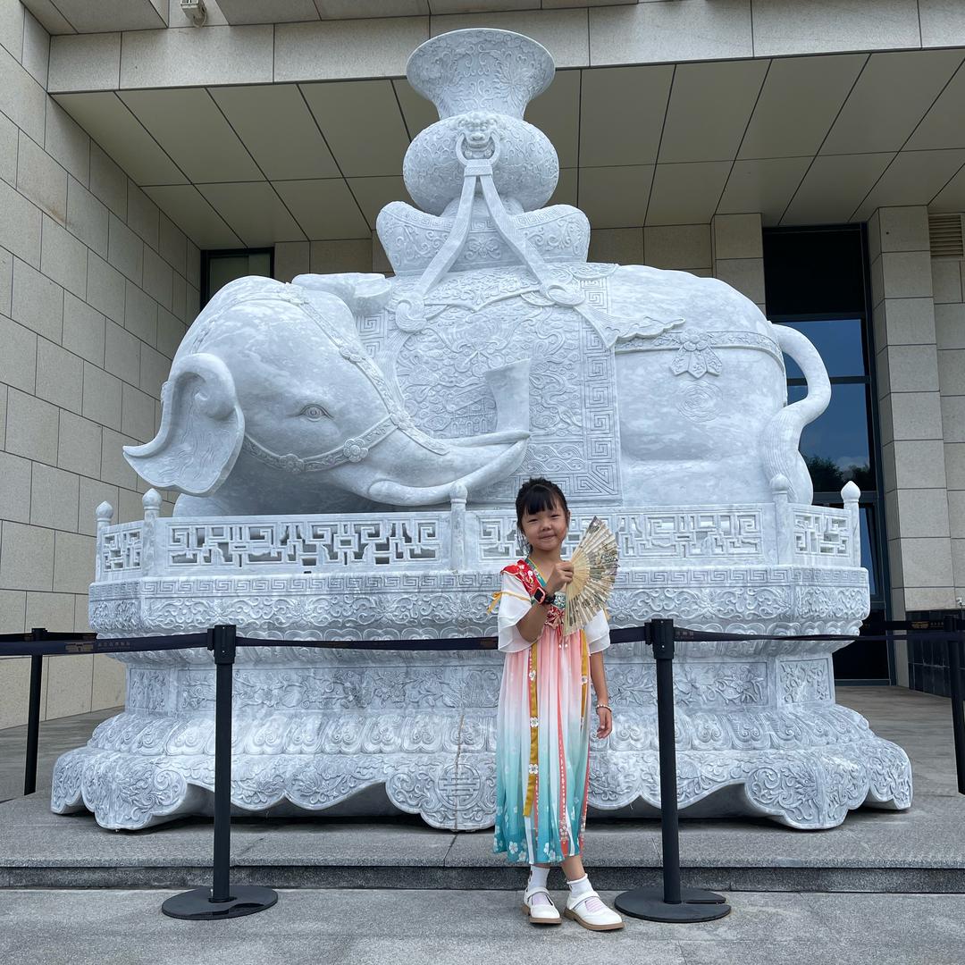 杨哥带你去旅行