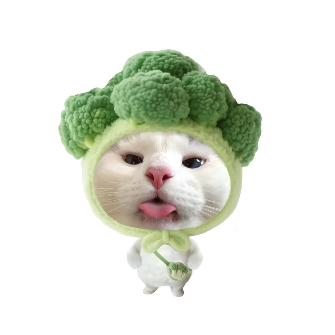 Hello^