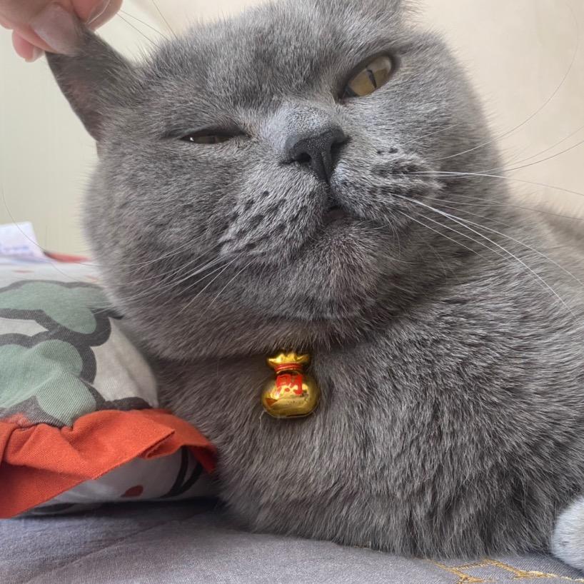 阿莫不灵