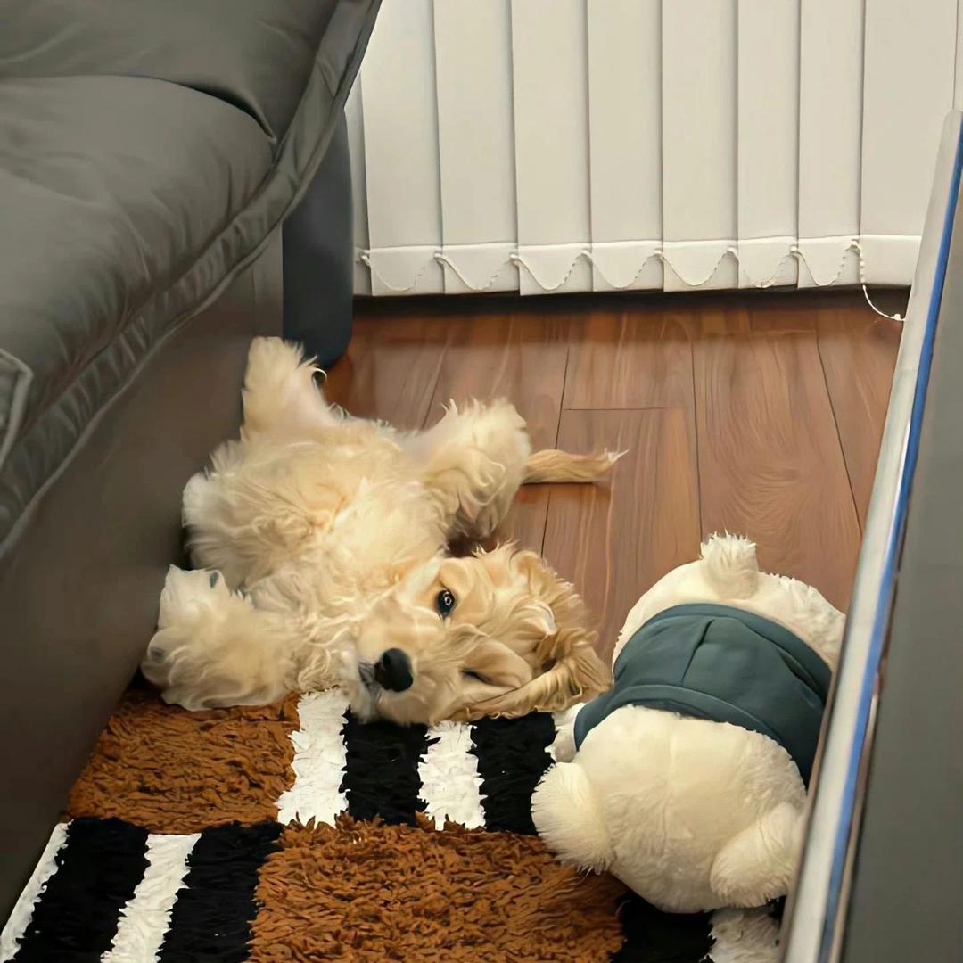 别总犯困