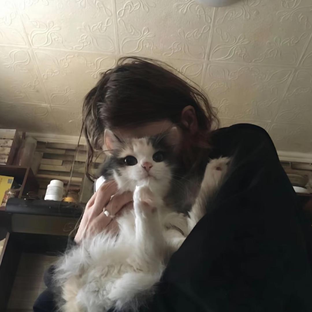 양양