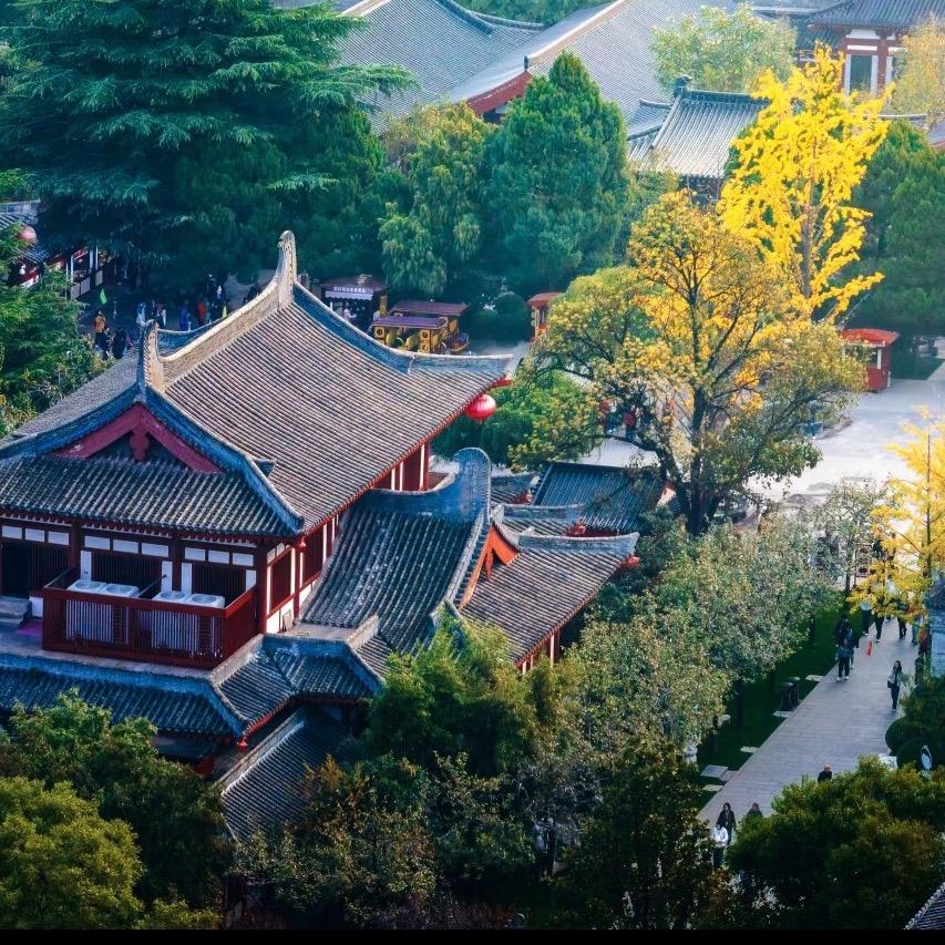 皇家讲师团