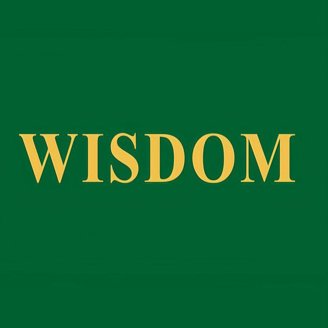 WISDOM ITALY ·威仕缔男装