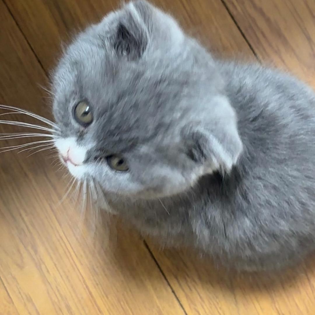 @এ᭄乔三ོꦿృ