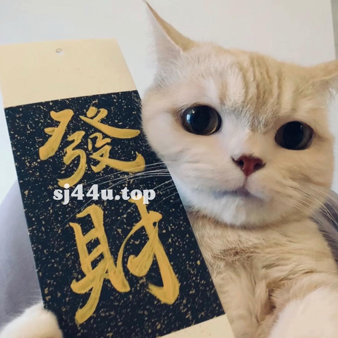 倒贴的咯咯哒…..