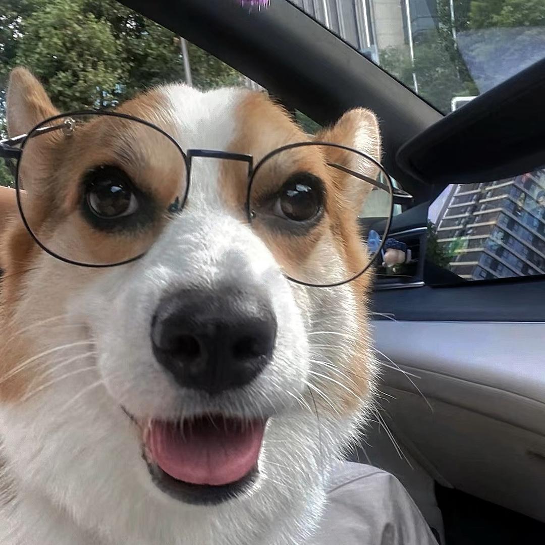 张😃龙租🚗🚗🚗