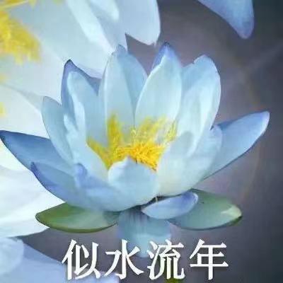 似水榴莲（热爱生活版