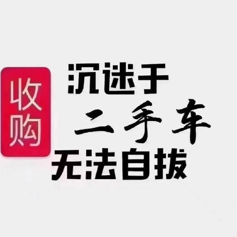 霸州市顺兴龙欢二手车