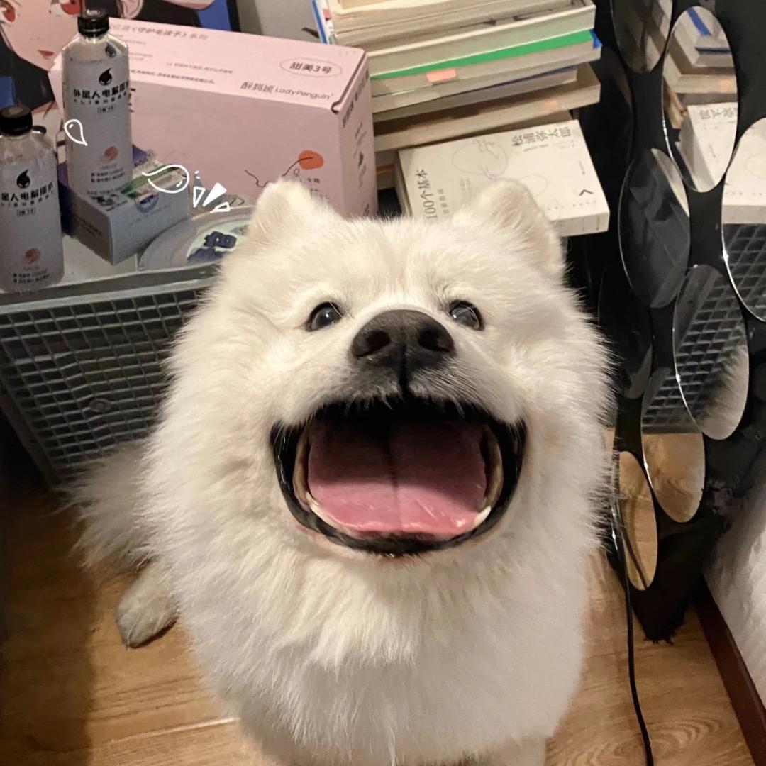 巫婆酱