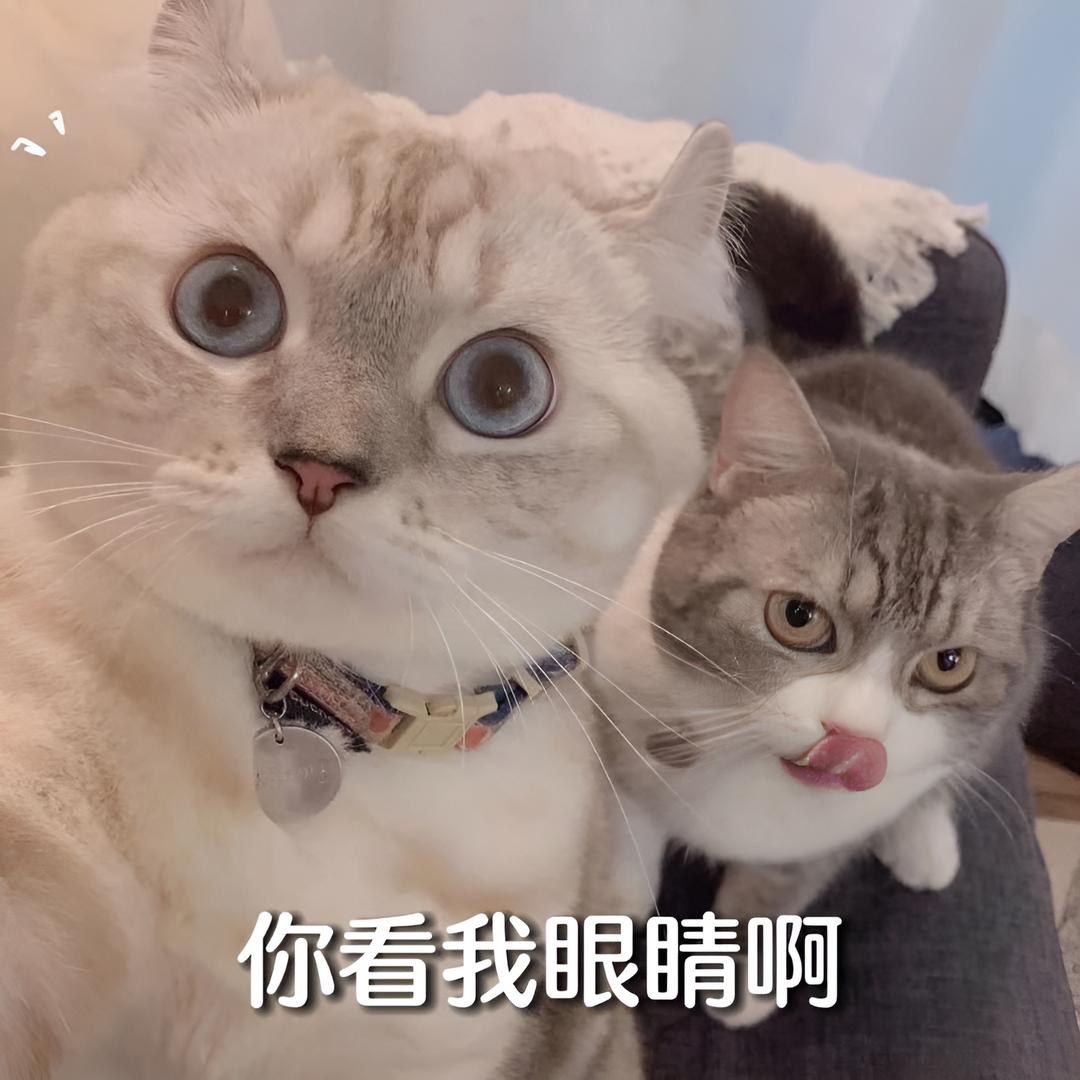 东泰摄影师