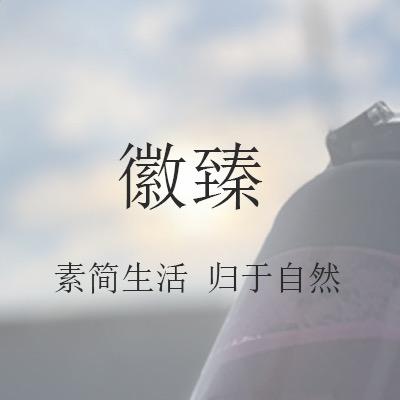 徽臻