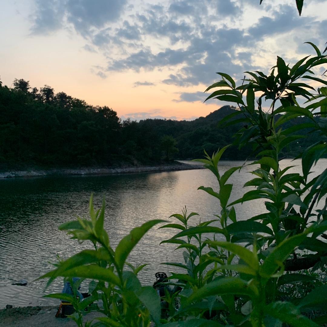 铂川