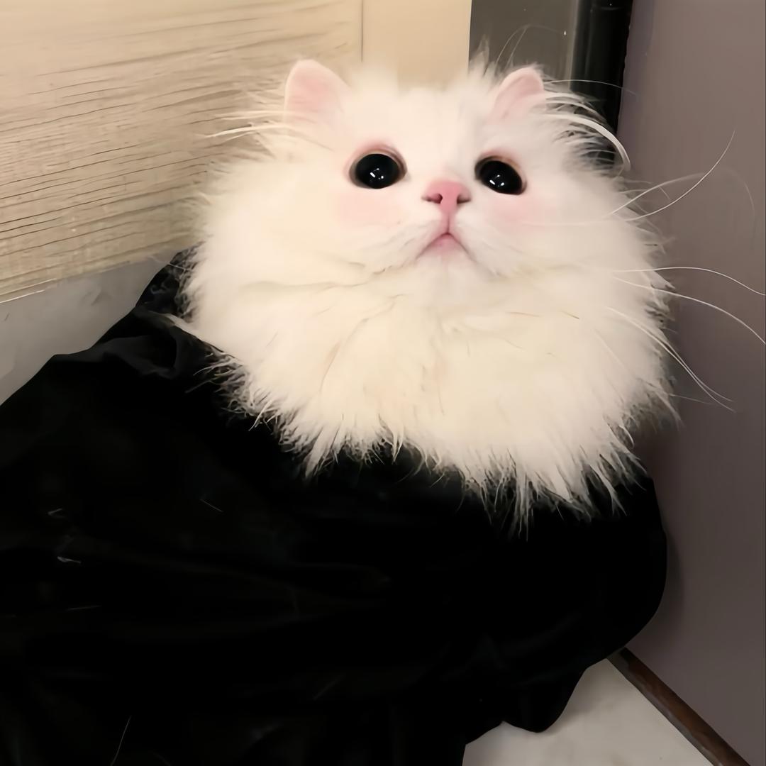 uu ᅟᅠ