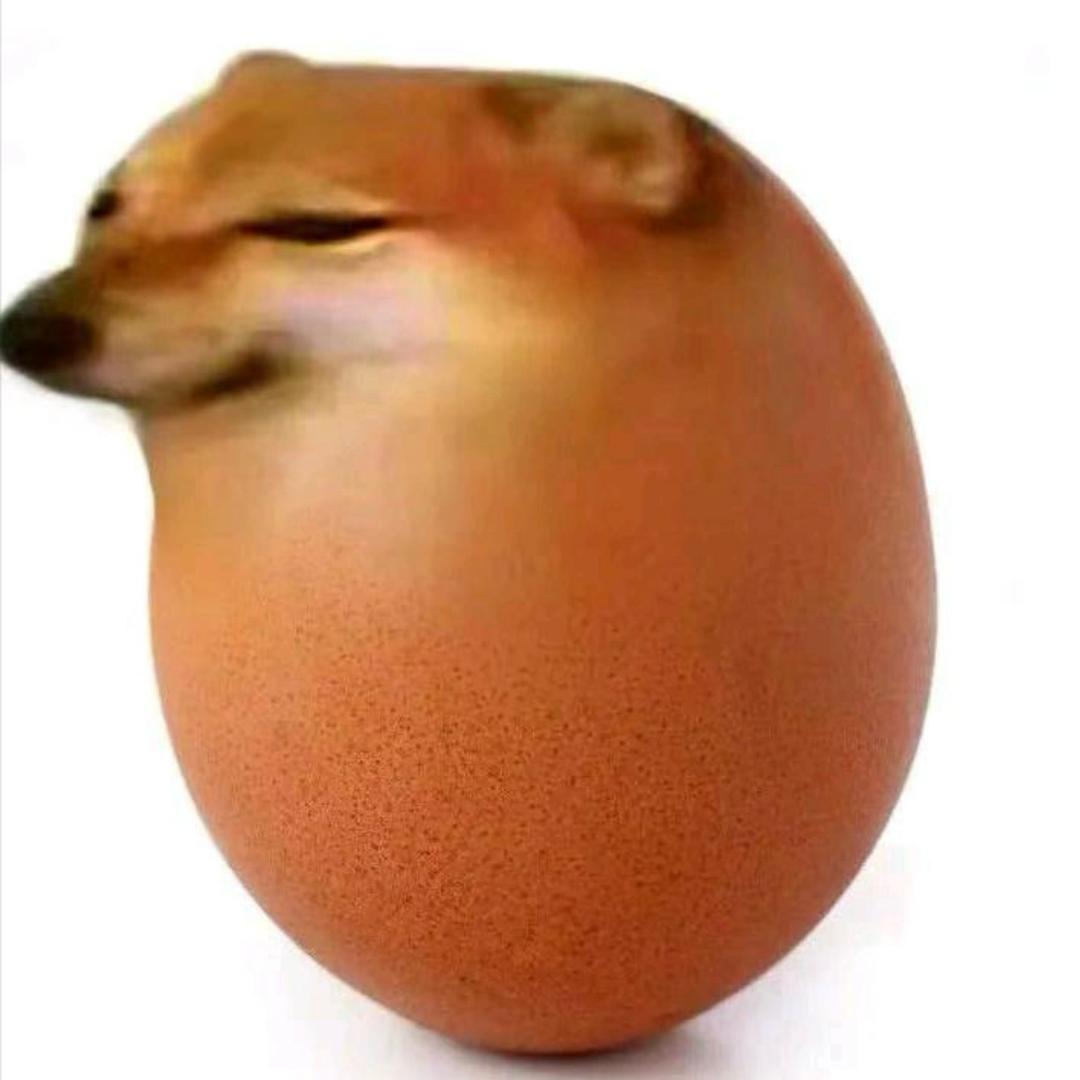 何晨刚砸光