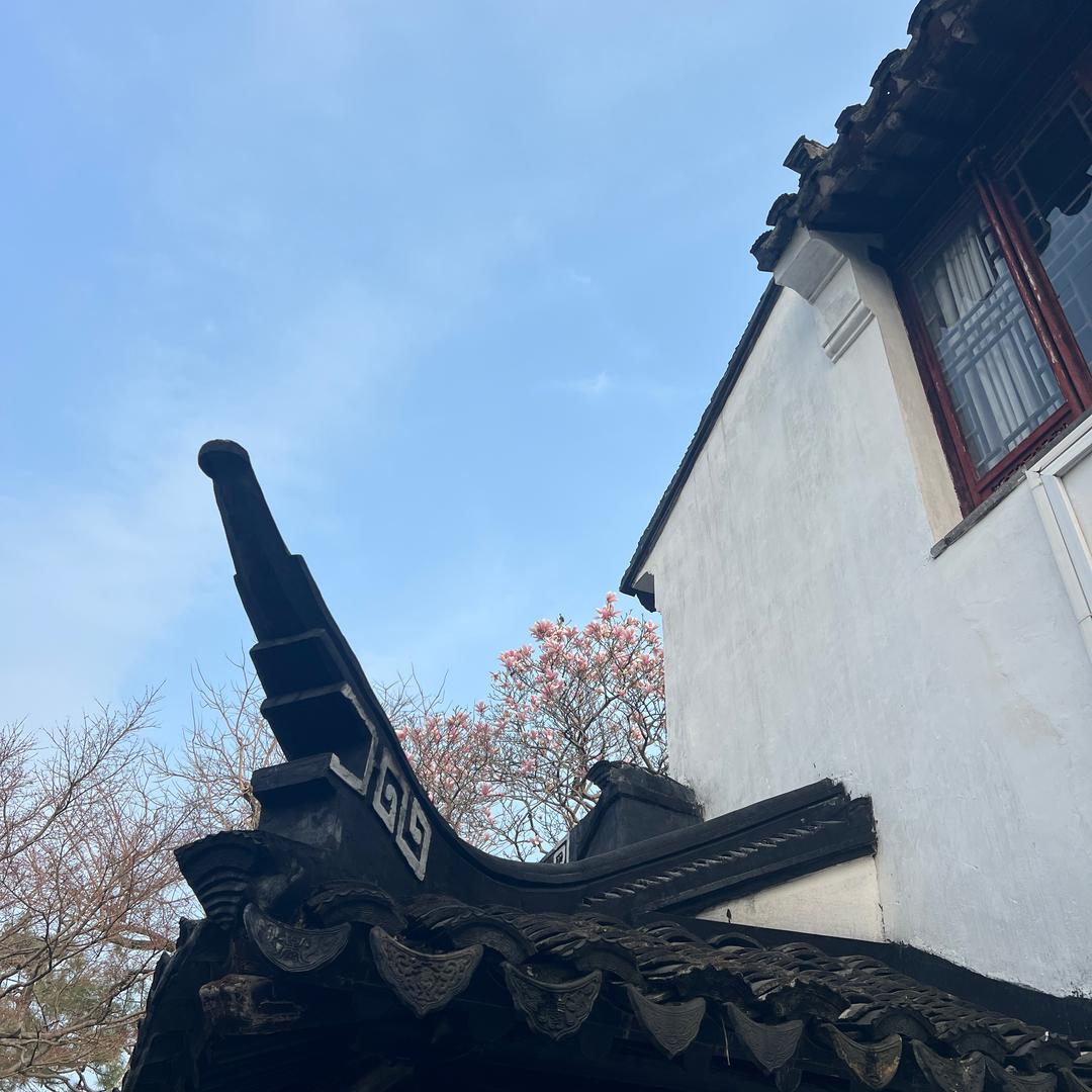 游在苏州