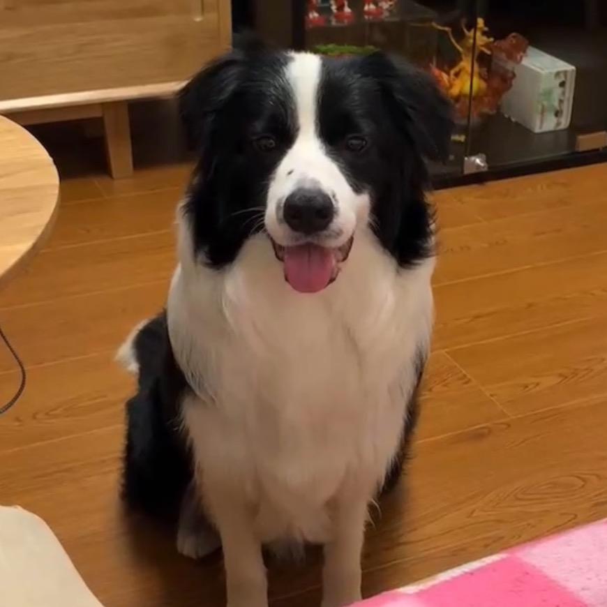 小小小小小yyyyy