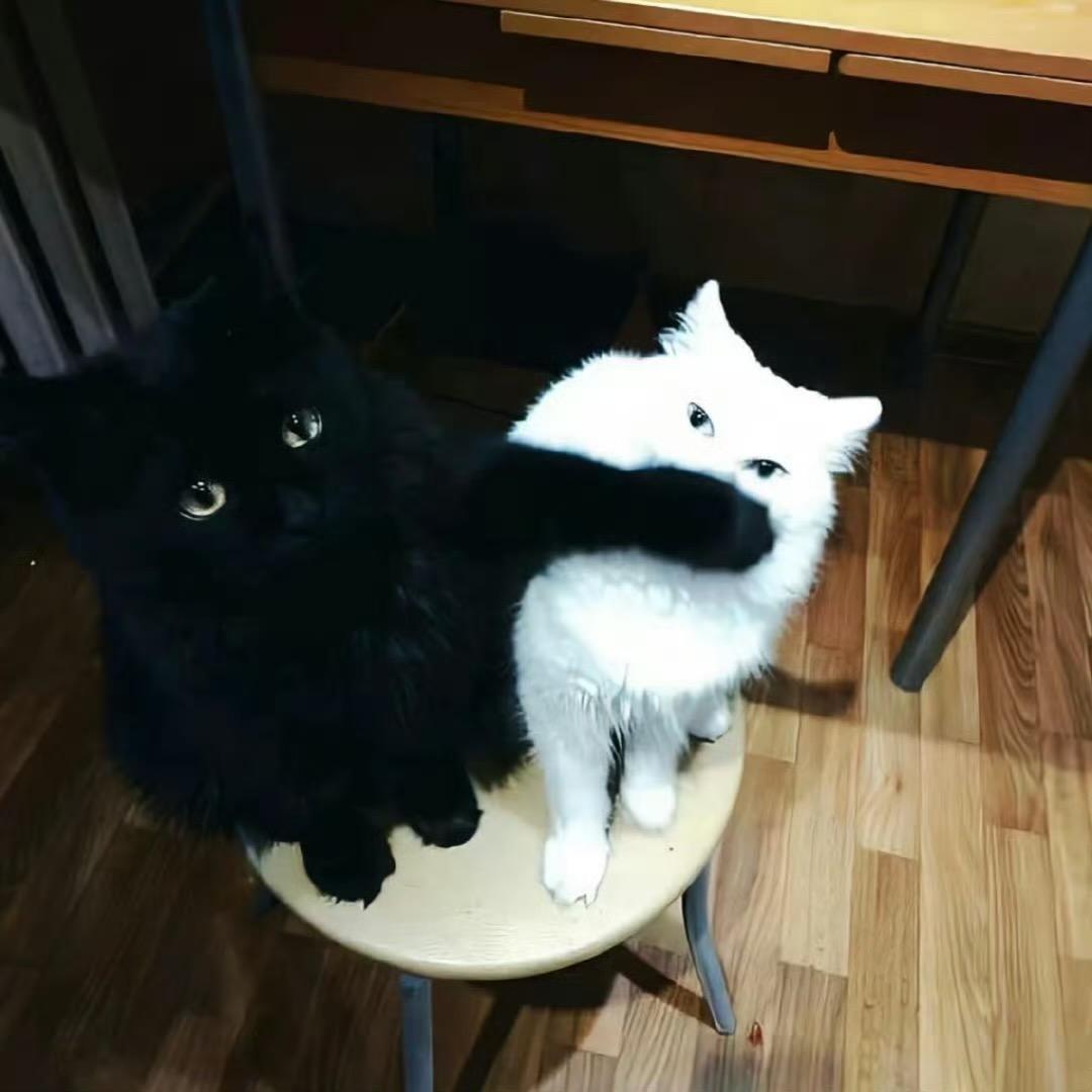 NinG淇