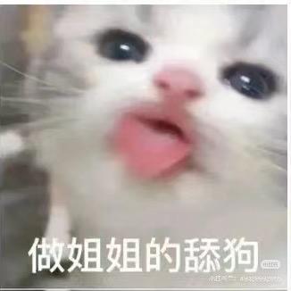 这辈子都是美女姐姐的舔狗