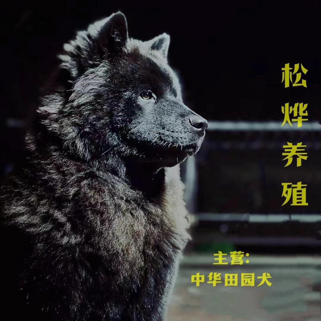 松烨