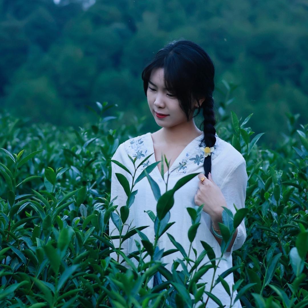 晨晨-茗掌柜
