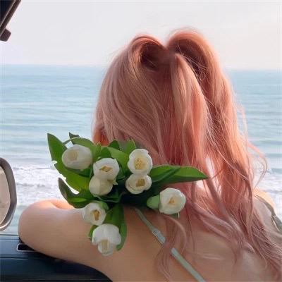 🍍菠萝菠萝蜜🍍