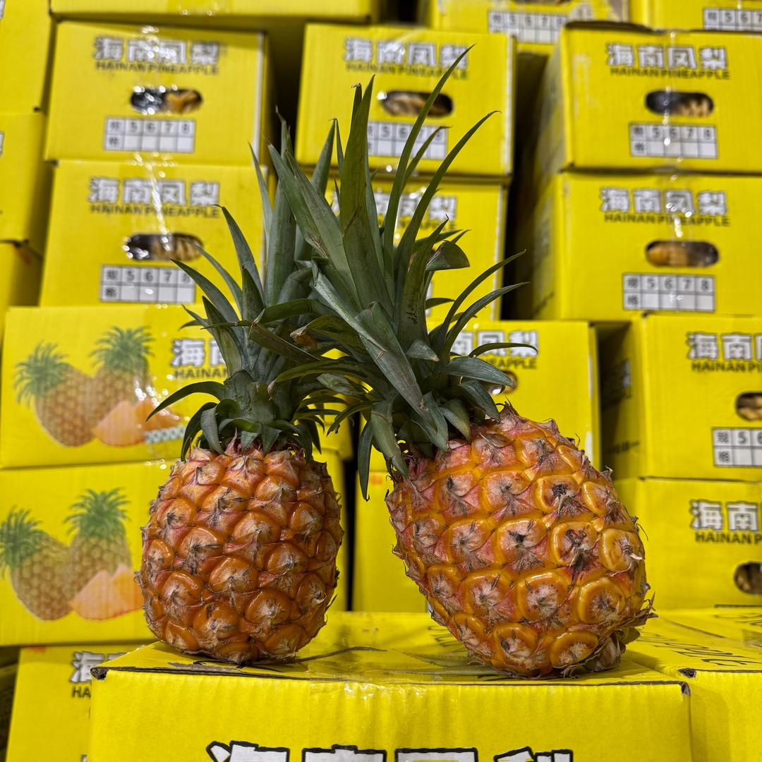 乌市果然惠果品批发