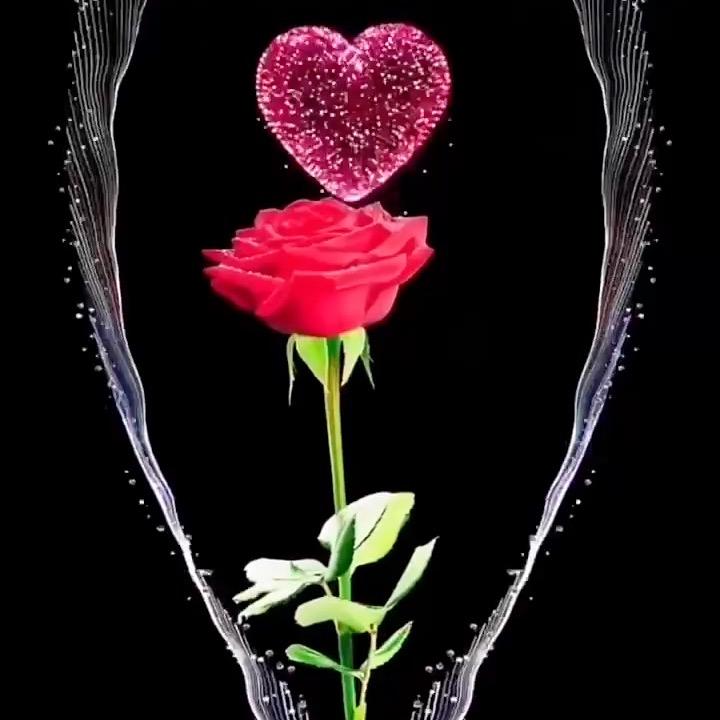 ꧁꫞独💞孤霸꫞꧂