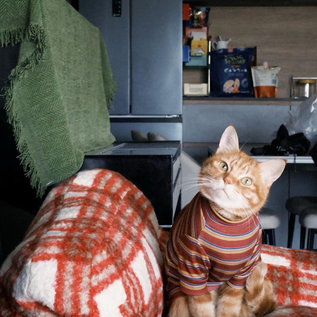 🎧莓烦恼ʟ̆̈ᴜ̆̈ᴄ̆̈ᴋ̆̈ʏ̆̈