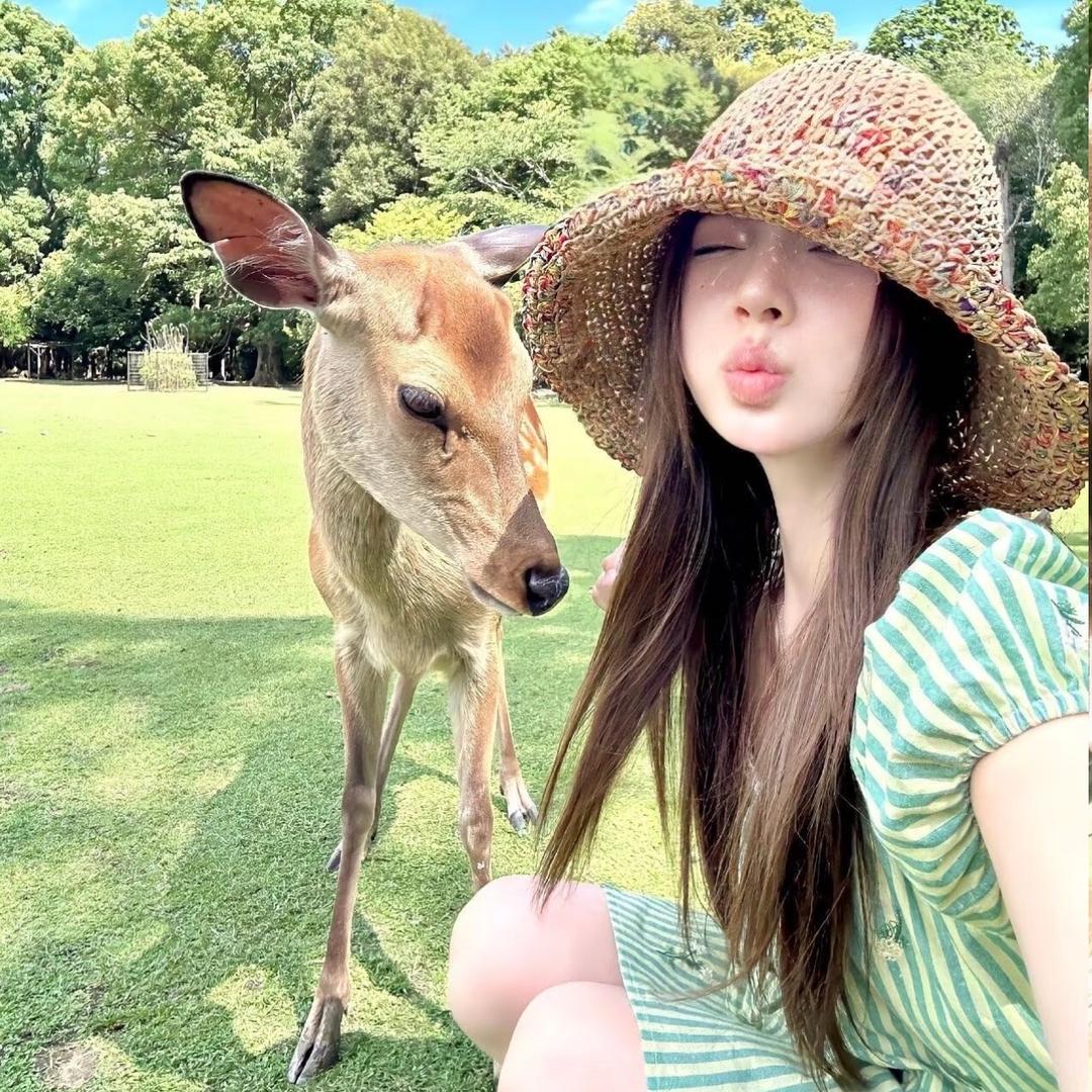 糖霜藍莓🫐 【休息中】