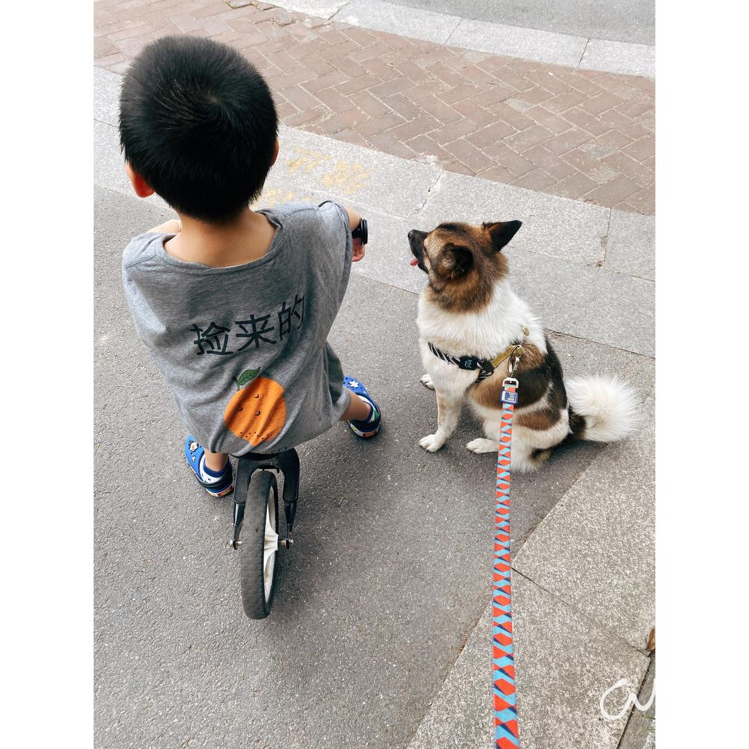 思文丁