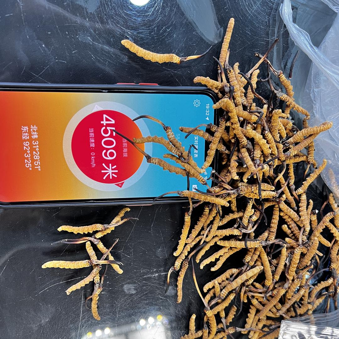 臻源珍滋补养生专营店藏地溯源