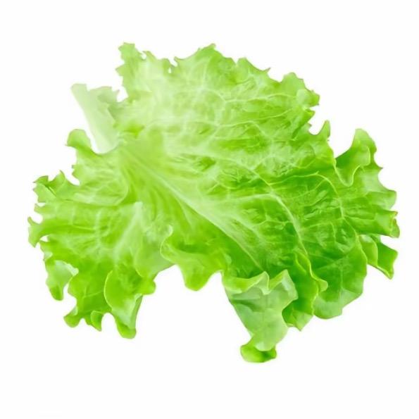 茄子芹菜西红柿