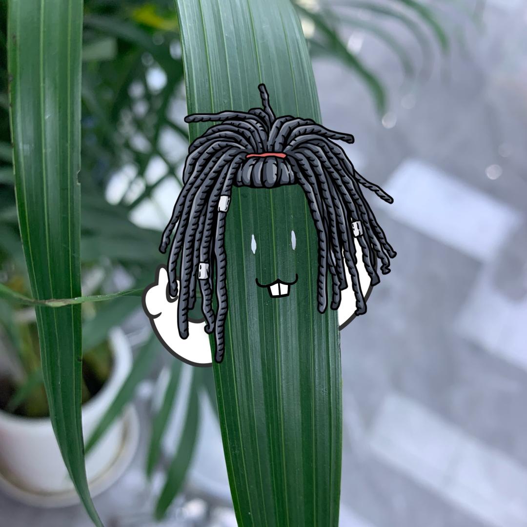 鼓浪屿上有猫吗