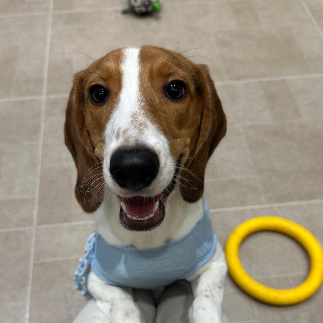 乙游里不是这样的