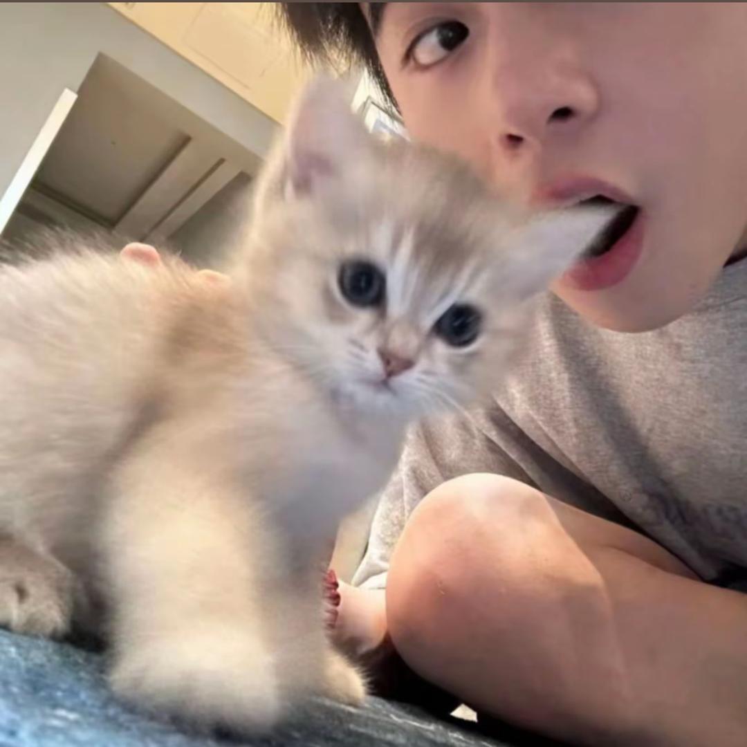 重生之满窝小狗我最淘（恩师（#^.^#)