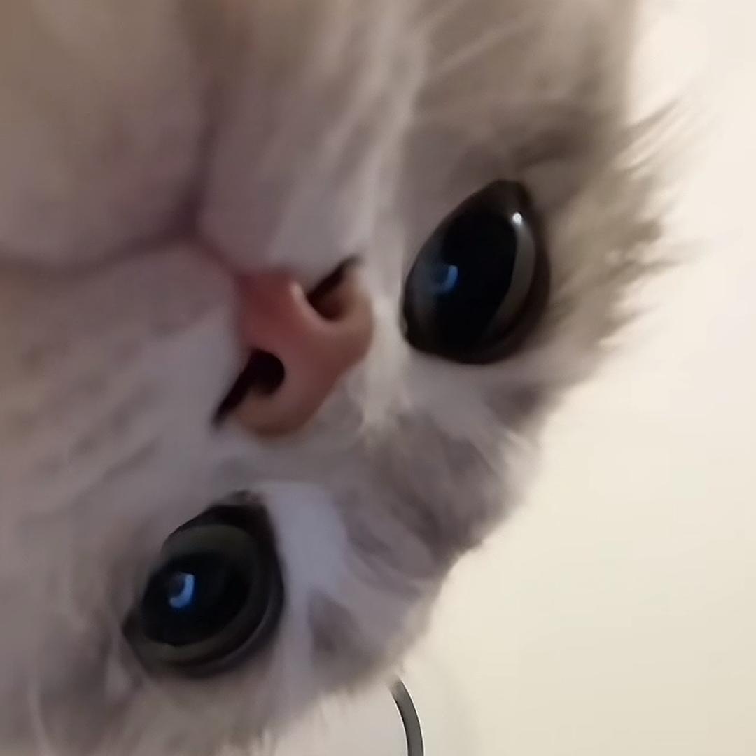 软肋