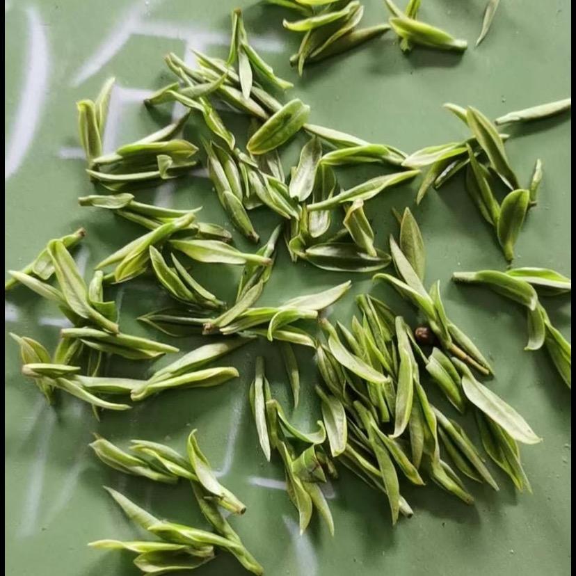 碧螺春茶•松阳县鹏龙茶厂（承蒙厚爱）