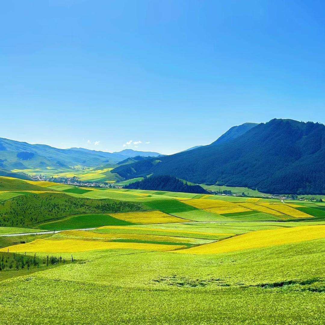 源妈的日常拍摄