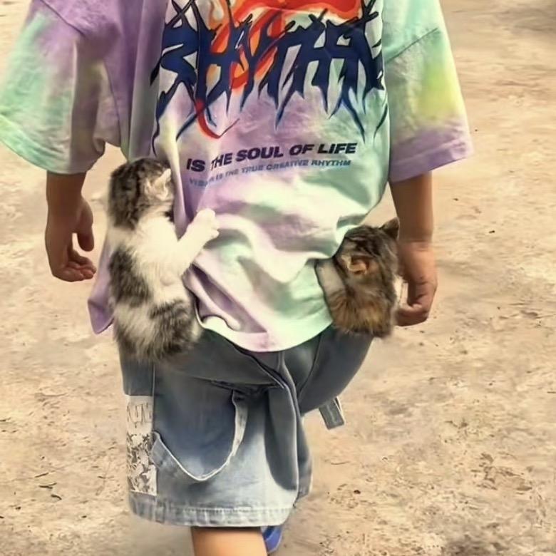 🌈Share角落艺术家