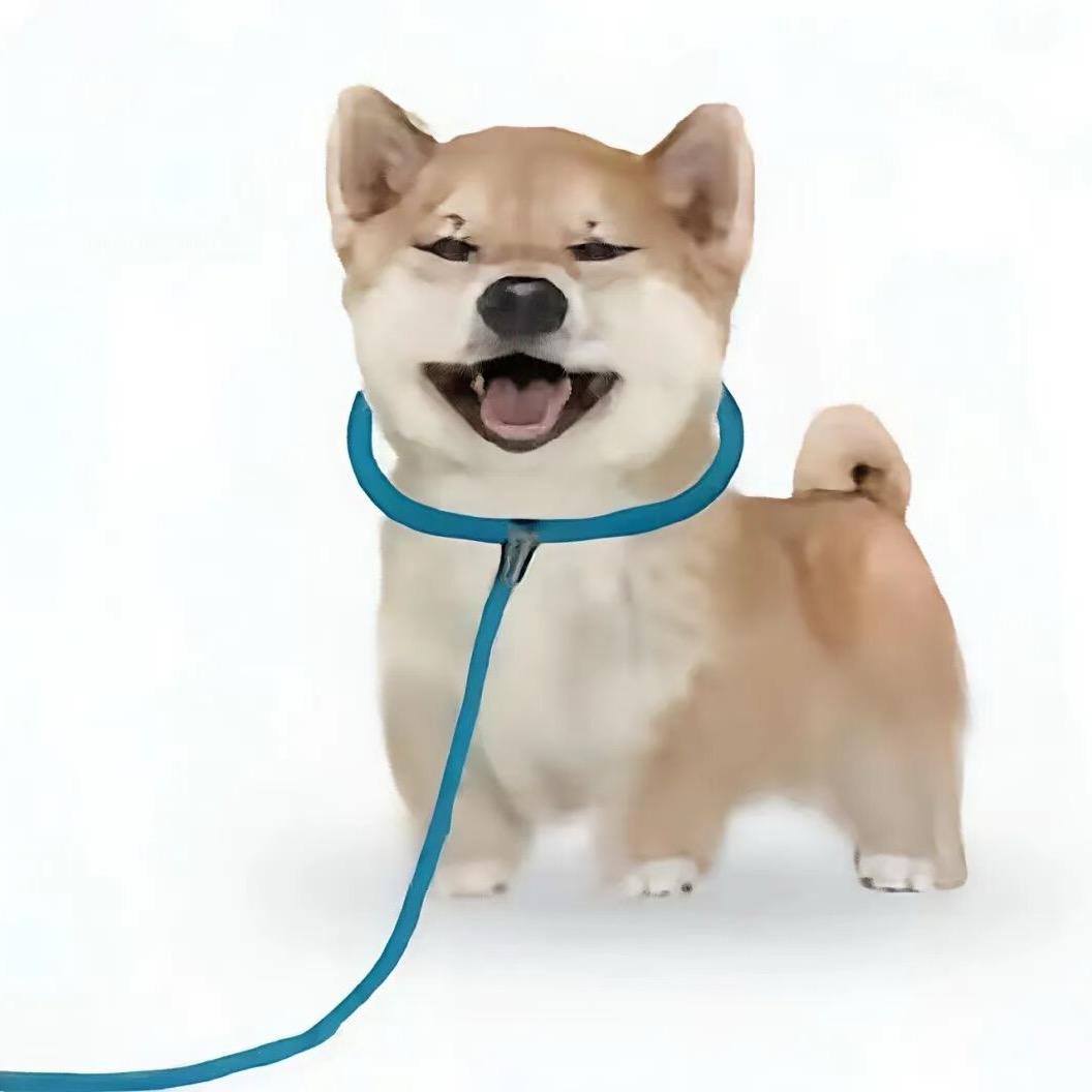 秋冬
