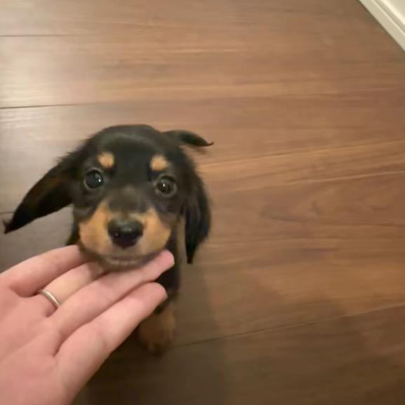 ㅤㅤㅤ ㅤ ㅤ ㅤ ㅤ  ㅤ彭