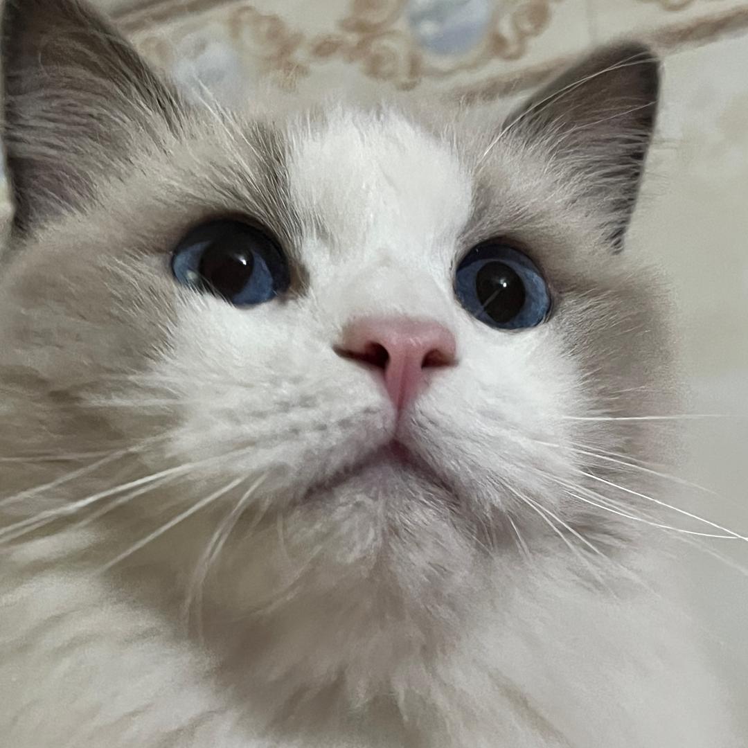 睡个好觉˚‧º