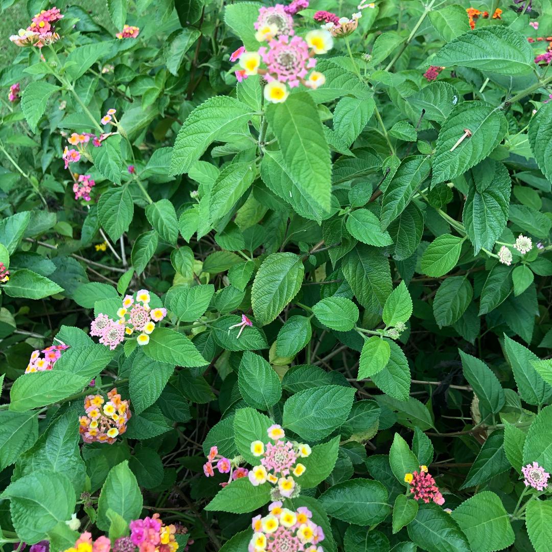 🐟怡然自乐🐟