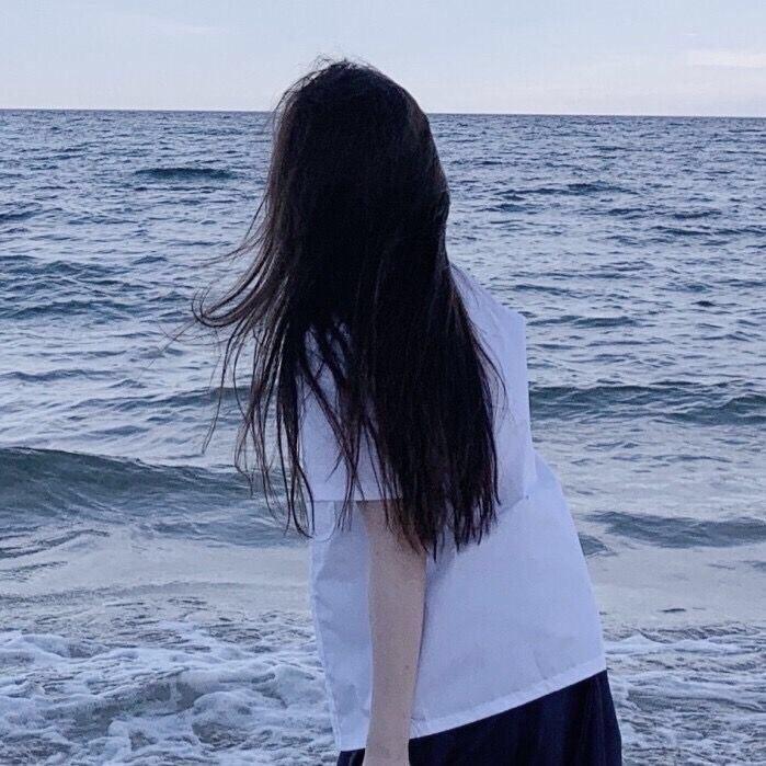 鹿鹿
