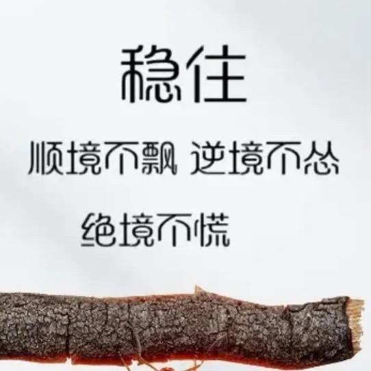 z先生